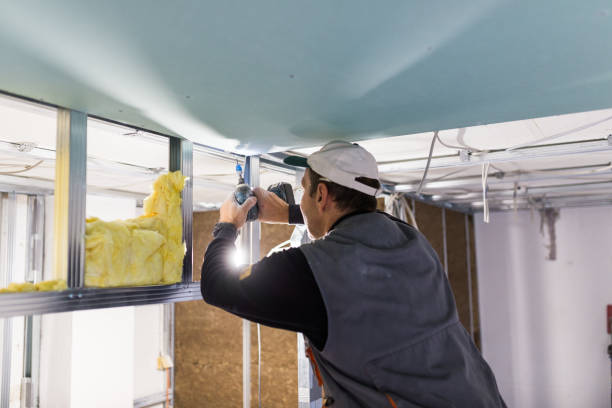 Best Home Insulation Services  in Web, AL