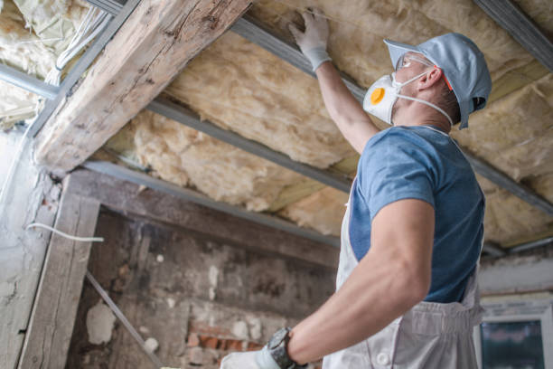 Garage Insulation Installation in Web, AL