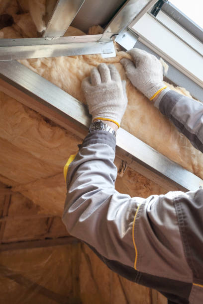 Best Garage Insulation Installation  in Web, AL