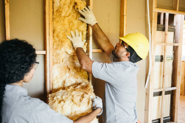 Best Best Insulation Companies  in Web, AL