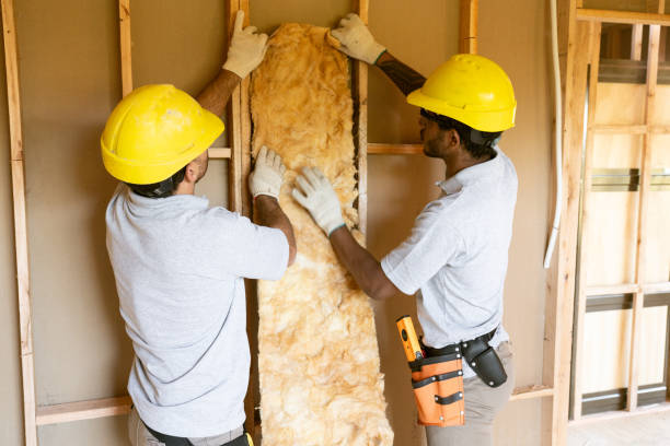 Best Fiberglass Insulation  in Web, AL