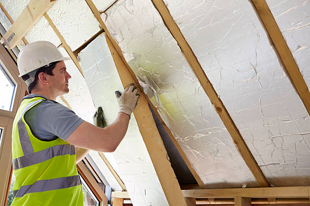 Best Attic Insulation Installation  in Web, AL